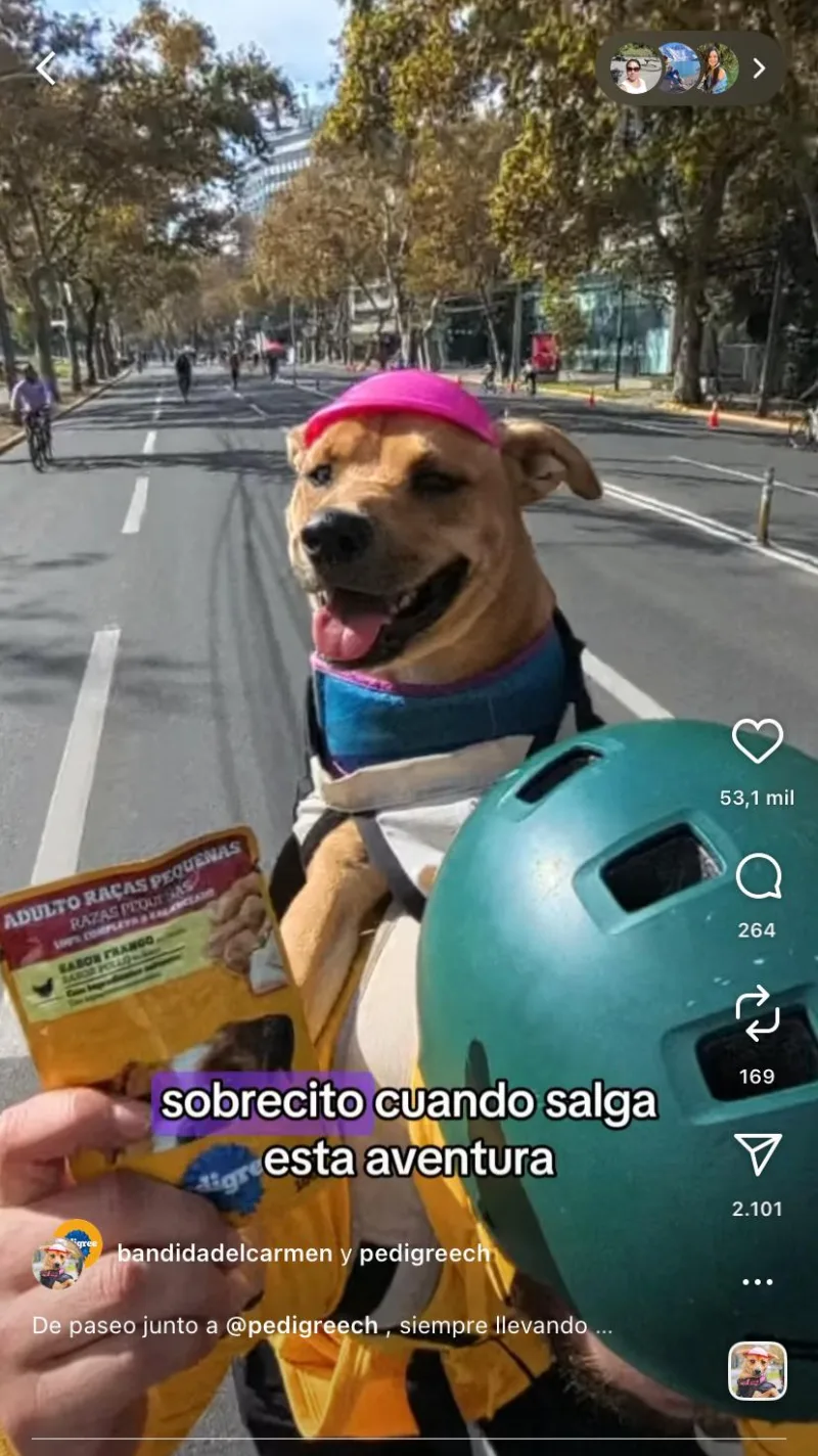 Reel de Bandi junto a Pedigree paseando en bicicleta, 1.5 millones de visualizaciones